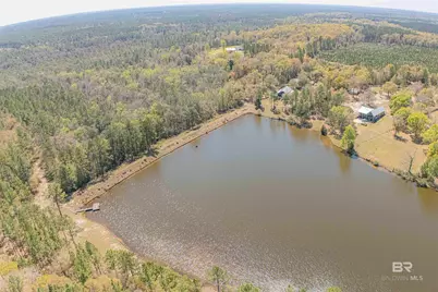 48248 Chastang Lake Road, Bay Minette, AL 36507 - Photo 67