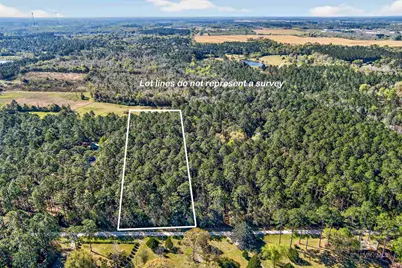 0 Woodland Acres Lane, Loxley, AL 36551 - Photo 1