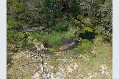 11100 Rhett McConnell Road, Theodore, AL 36582 - Photo 43