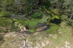 11100 Rhett McConnell Rd, Theodore, AL 36582 - Photo 43