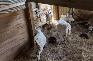 11100 Rhett McConnell Rd, Theodore, AL 36582 - Photo 39