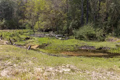 11100 Rhett McConnell Road, Theodore, AL 36582 - Photo 27