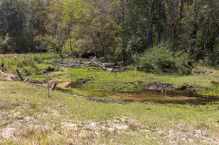 11100 Rhett McConnell Rd, Theodore, AL 36582 - Photo 27