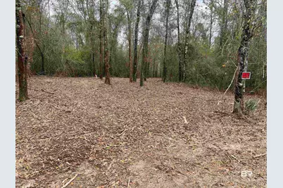 0 Dunbar Road, Robertsdale, AL 36567 - Photo 19