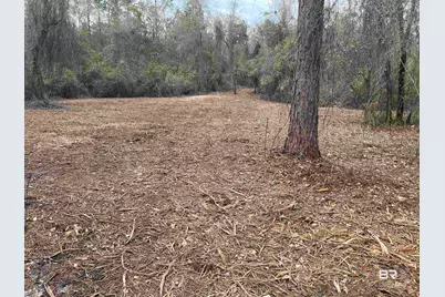 0 Dunbar Road, Robertsdale, AL 36567 - Photo 17