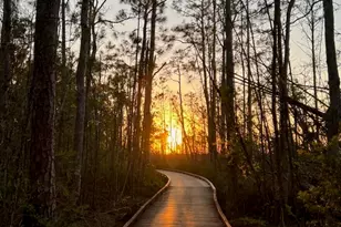 200 Peninsula Blvd, Gulf Shores, AL 36542 - Photo 27