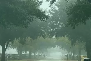 9720 Paddock Trce Dr, Foley, AL 36535 - Photo 93