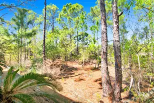 9261 Genipa Way, Gulf Shores, AL 36542 - Photo 45