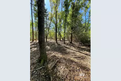 804 Cee Bee Street, Robertsdale, AL 36567 - Photo 5