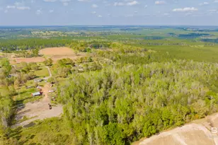 22728 Wing Ln, Robertsdale, AL 36567 - Photo 35