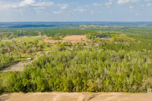22728 Wing Ln, Robertsdale, AL 36567 - Photo 15
