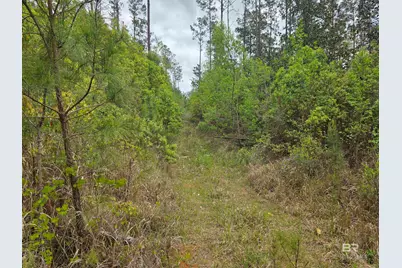 11631 Red Hill Rd Extension, Bay Minette, AL 36507 - Photo 13