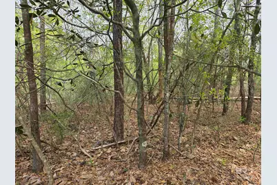 12287 Red Hill Rd Extension, Bay Minette, AL 36507 - Photo 3