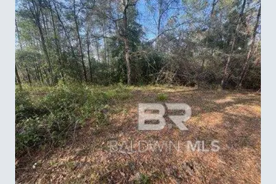 0 Delta Woods Drive, Bay Minette, AL 36507 - Photo 3