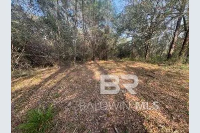 0 Delta Woods Drive, Bay Minette, AL 36507 - Photo 5