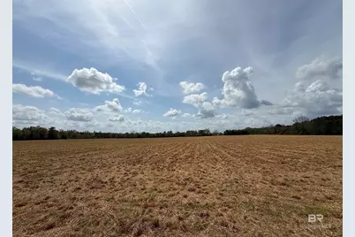 00 Green Road, Jay, FL 32531 - Photo 3