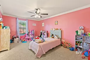 25212 Raynagua Blvd, Loxley, AL 36551 - Photo 37