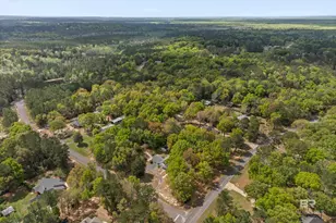 10140 Lakeview Rd, Bay Minette, AL 36507 - Photo 33