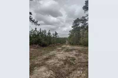 0 Phillipsville Road, Bay Minette, AL 36507 - Photo 5