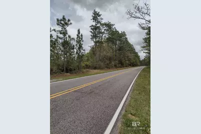 0 Phillipsville Road, Bay Minette, AL 36507 - Photo 3