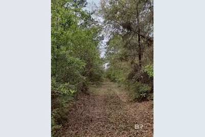 0 Phillipsville Road, Bay Minette, AL 36507 - Photo 7