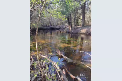 0 Phillipsville Road, Bay Minette, AL 36507 - Photo 1