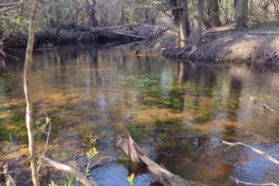 0 Phillipsville Rd, Bay Minette, AL 36507 - Photo 1