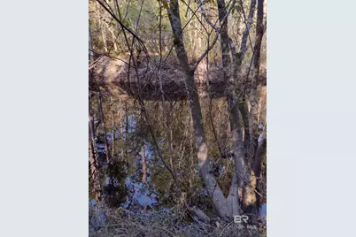 0 Phillipsville Road, Bay Minette, AL 36507 - Photo 9