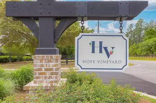 23766 Avernus Loop, Daphne, AL 36526 - Photo 39