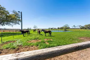 25331 Austin Rd, Daphne, AL 36526 - Photo 59