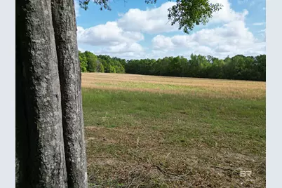 1350 W Highway 4, Century, FL 32535 - Photo 3