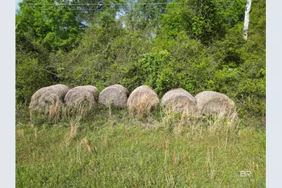 1350 W Highway 4, Century, FL 32535 - Photo 9