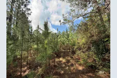 8200 Blk Grimes Road, Century, FL 32535 - Photo 17