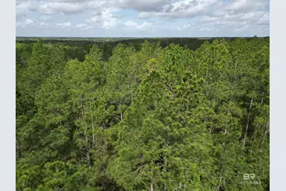 8200 Blk Grimes Road, Century, FL 32535 - Photo 9