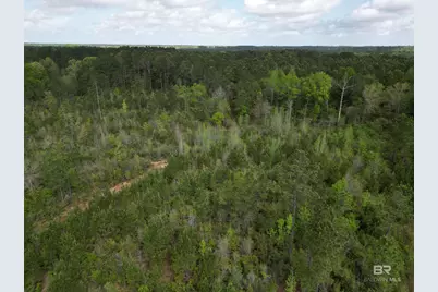 8200 Blk Grimes Road, Century, FL 32535 - Photo 5