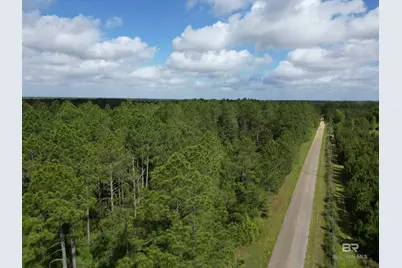 8200 Blk Grimes Road, Century, FL 32535 - Photo 3