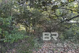 0 Batre Ln, Mobile, AL 36608 - Photo 1