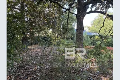 0 Batre Lane, Mobile, AL 36608 - Photo 5