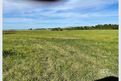 14030 Joe Norris Lane, Foley, AL 36535 - Photo 5