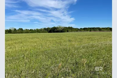 14030 Joe Norris Lane, Foley, AL 36535 - Photo 3