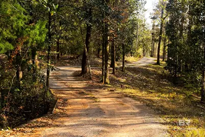 8008 Patricks Landing Road, Bay Minette, AL 36507 - Photo 3