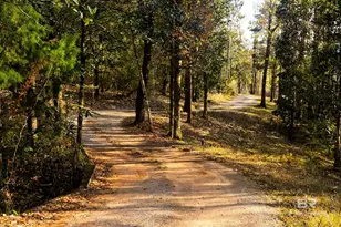 8008 Patricks Landing Rd, Bay Minette, AL 36507 - Photo 3