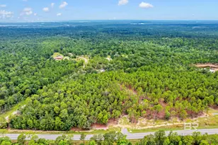 8455 Hooks Rd, Bay Minette, AL 36507 - Photo 69