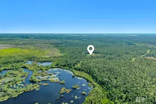 34130 Alligator Bayou Rd, Lillian, AL 36549 - Photo 57
