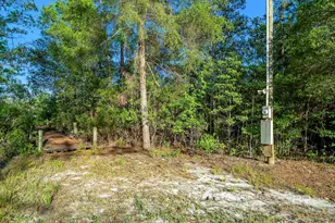 34130 Alligator Bayou Rd, Lillian, AL 36549 - Photo 61