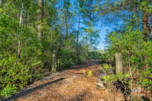 34130 Alligator Bayou Rd, Lillian, AL 36549 - Photo 63