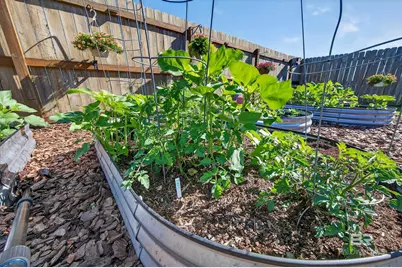 13386 Shoshoney Circle, Fairhope, AL 36532 - Photo 39