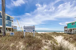 6782 Palmetto Dr, Gulf Shores, AL 36542 - Photo 37