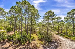 6782 Palmetto Dr, Gulf Shores, AL 36542 - Photo 25