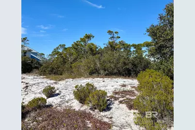 0 River Road, Orange Beach, AL 36561 - Photo 3